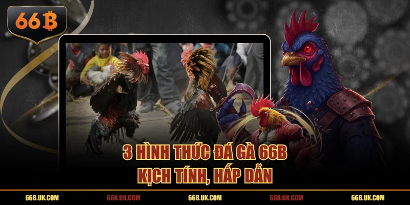 3 hình thức Đá Gà 6BB kịch tính, hấp dẫn