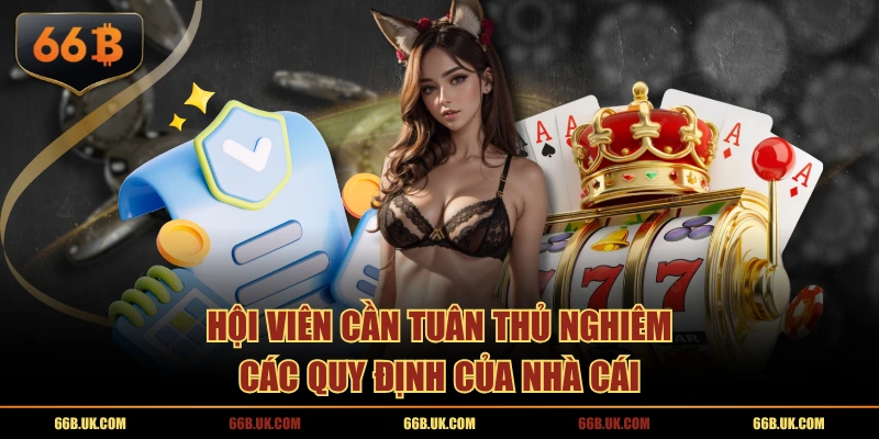 Hội viên cần tuân thủ nghiêm các quy định của nhà cái
