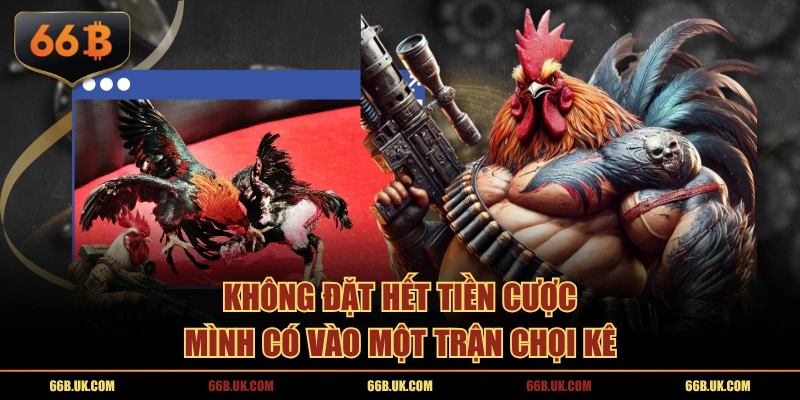 Không đặt hết tiền cược mình có vào một trận chọi kê