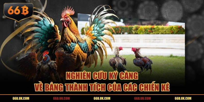 Nghiên cứu kỹ càng về bảng thành tích của các chiến kê