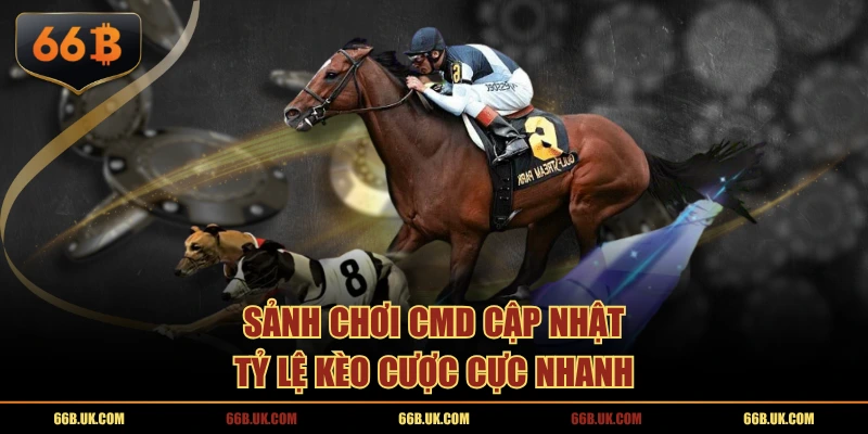 Sảnh chơi CMD cập nhật tỷ lệ kèo cược cực nhanh