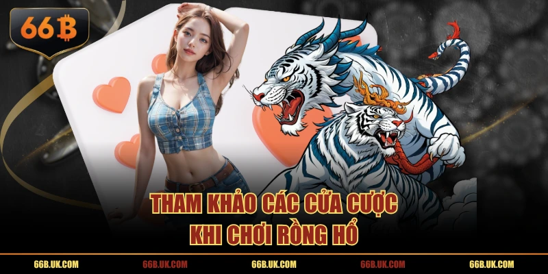 Tham khảo các cửa cược khi chơi Rồng Hổ